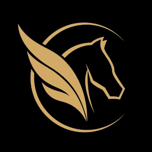 Pegasus Oyuncak