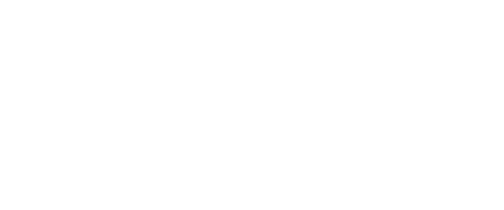 Night Badgers Studio